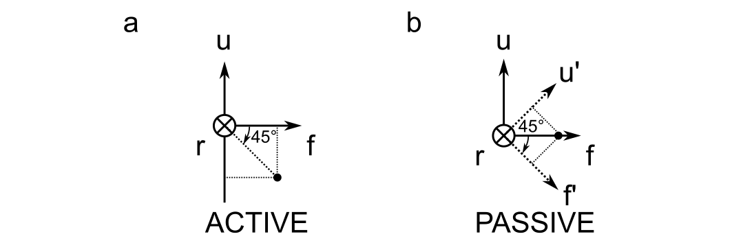 Active vs. passive rotations